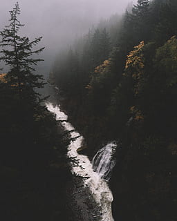 Bach, umgeben, Bäume, tagsüber, Fluss, bedeckt, Nebel, Foto, Wald, Wasser, fallen, Herbst, Natur, Berg, Baum, Landschaft, szenen, draußen, Schönheit in der Natur, keine Leute, Pflanze, Szenen - Natur, Ruhe, Land, ruhige Szene, Tag, Nicht-städtische Szene, Umgebung, fließendes Wasser, Wachstum, fließend, 4K, CC0, gemeinfrei, lizenzfrei