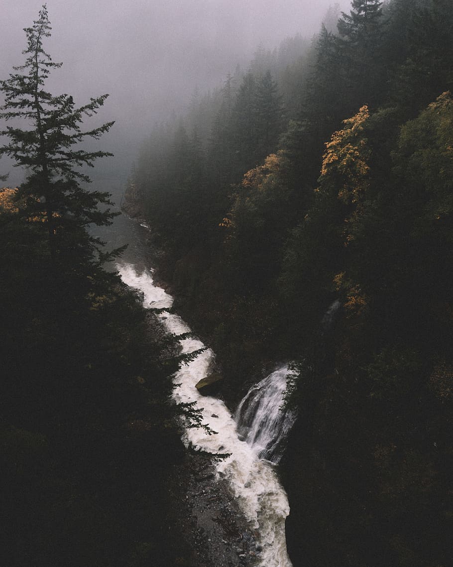 Bach, umgeben, Bäume, tagsüber, Fluss, bedeckt, Nebel, Foto, Wald, Wasser, fallen, Herbst, Natur, Berg, Baum, Landschaft, szenen, draußen, Schönheit in der Natur, keine Leute, Pflanze, Szenen - Natur, Ruhe, Land, ruhige Szene, Tag, Nicht-städtische Szene, Umgebung, fließendes Wasser, Wachstum, fließend, 4K