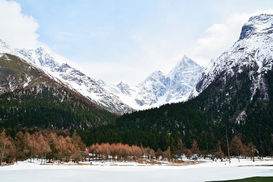 Landschaftsfoto, Berge, Waldberg, bedeckt, Schnee, Berg, Grat, Angebot, Wildnis, Szenen - Natur, Schönheit in der Natur, kalte Temperatur, Winter, Baum, Pflanze, ruhige Szene, Gebirge, Ruhe, Natur, schneebedeckter Berg, Himmel, Nicht-städtische Szene, Umgebung, wolke - himmel, Landschaft, gefroren, keine Leute, draußen, Kiefer, Gipfel, 5K