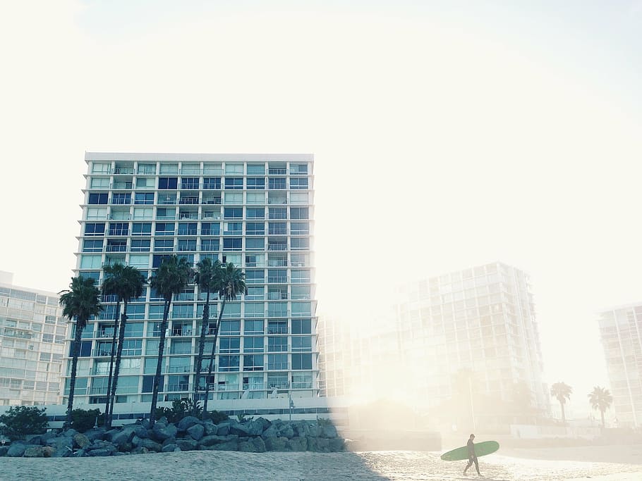 fotografia de trets d'angle baix, blau, edifici, palmeres, façana, palmell, arbres, arquitectura, exterior, urbà, construcció, ciutat, modern, estructura, casa, finestres, surfista, platja, al matí, llum, sol, brillant, residencial, pissarra, exterior de l'edifici, estructura construïda, cel, naturalesa, dia, cel clar, exterior d’edifici d’oficines, llum solar, còpia espai, a l'aire lliure, persones incidentals, oficina, una persona, persones reals, aigua, gratacels, 2K