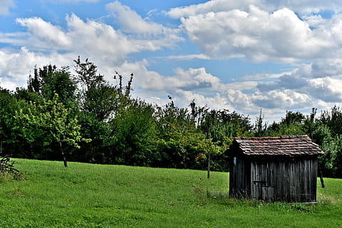 sky, cloud, tree, grass, hut, roof, house, landscape, green, wood, brown, blue, white, clouds sky, nature, sky clouds, weather, blue sky clouds, light, day, summer, space, cloudscape, color, air, heaven, sunlight, environment, meteorology, sunny, bright, high, blue sky background, climate, outdoors, blue sky, clear, sun, scenic, spring, season, atmosphere, sunshine, fruit, apple, hill, plant, cloud - sky, architecture, built structure, land, building, green color, field, building exterior, growth, beauty in nature, no people, cabin, 5K, CC0, public domain, royalty free