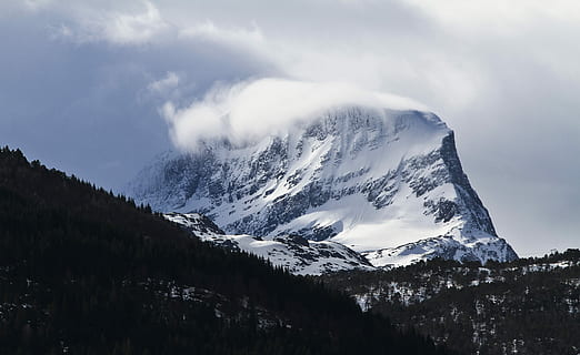 Gebirgsbrise, Schnee, bedeckt, Berg, Nebel, Winter, Baum, Wald, Gipfel, hoch, Wind, Brise, nordisch, Wetter, kalte Temperatur, Szenen - Natur, Schönheit in der Natur, Gebirge, Himmel, schneebedeckter Berg, wolke - himmel, Umgebung, Natur, Landschaft, Ruhe, keine Leute, ruhige Szene, Pflanze, Nicht-städtische Szene, draußen, Kiefer, extremes Wetter, Nadelbaum, 5K, CC0, gemeinfrei, lizenzfrei
