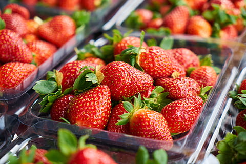 jordbær, makro, bakgrunn, rød, vakker, sunn, frukt, fersk, natur, nærbilde, frukthage, hage, detalj, ingen, søndag, fargebilde, levende farge, kopiere plass, horisontal, mat, spise sunt, Helse, detaljbilder, nydelig, farge, grønn, sommer, mat og Drikke, friskhet, bær frukt, velvære, selektiv fokusering, ingen folk, stor gruppe gjenstander, detaljhandel, overflod, organisk, container, moden, virksomhet, dag, konsumerisme, 5K, CC0, offentlig domene, opphavsrett gratis