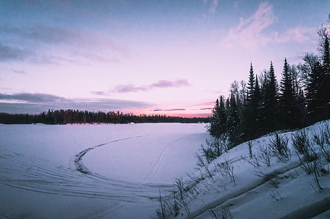 kanadiske vinter solnedgang, pinus trær, snø, gylden, time, vinter, trær, solnedgang, skog, himmel, tre, kaldtemperatur, ro, rolig scene, naturskjønnhet - natur, skjønnhet i naturen, anlegg, sky - himmel, natur, ikke-urbane scene, ingen folk, frossen, innsjø, landskap, land, furutre, snødekte fjell, nåletre, 5K, CC0, offentlig domene, opphavsrett gratis