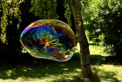burbuja de jabón, enorme, grande, hacer pompas de jabon, Wabbelig, iridiscente, agua jabonosa, divertido, volar, vistoso, árbol, burbuja, naturaleza, planta, fragilidad, multi color, esfera, transparente, vulnerabilidad, reflexión, día, al aire libre, nadie, jabón sud, de cerca, luz del sol, aire, belleza en la naturaleza, tierra, crecimiento, 5K, CC0, dominio público, libre de derechos