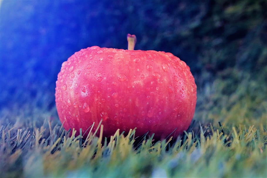 æble, eng, filter, frugt, sund kost, rød, mad og drikke, mad, tæt på, velvære, friskhed, enkelt objekt, ingen mennesker, æble - frugt, natur, plante, selektiv fokusering, udendørs, studio skud, dag, lyserød farve, sund livsstil, moden, 5K