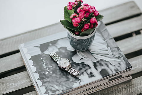 little, pink, flowers, pot, various, items, flora, table, coffee, cute, magazine, plant, blossom, beautiful, flower, no people, celebration, bouquet, close-up, day, flowering plant, nature, high angle view, freshness, text, vase, indoors, flower arrangement, still life, focus on foreground, flower head, beauty in nature, rose, decoration, silver colored, tray, 4K