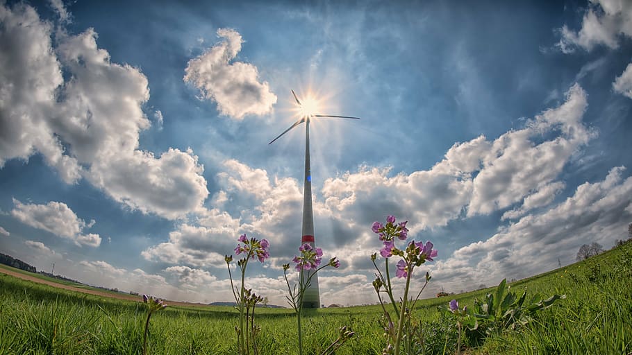 cuc, foto dels ulls, blanc, aerogenerador, molinet, sol, raig de sol, núvols, llum de fons, alt contrast, energia eòlica, cel, tecnologia ambiental, generació d'energia, corrent, energia, medi ambient, energia alternativa, energia renovable, ecologia, tir llarg i extrem, núvol - cel, camp, naturalesa, creixement, a l'aire lliure, herba, dia, flor, planta, cap gent, conservació del medi ambient, bellesa a la natura, blau, planta amb flors, prat, plana, terra, llum solar, primavera, lluminós, 5K