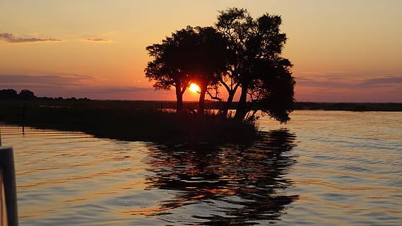 posta de sol, chobe, botswana, cel, aigua, color taronja, bellesa a la natura, arbre, reflexió, tranquil·litat, planta, escenics - natura, escena tranquil·la, naturalesa, silueta, llac, sol, idíl·lic, cap gent, terra, a l'aire lliure, cel romàntic, 4K, CC0, domini públic, lliure de regalies