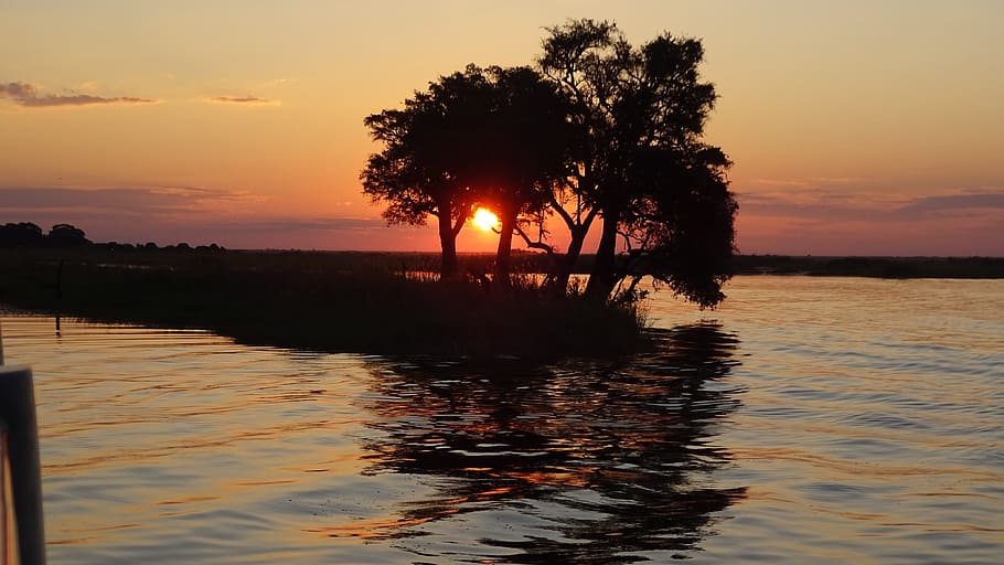 posta de sol, chobe, botswana, cel, aigua, color taronja, bellesa a la natura, arbre, reflexió, tranquil·litat, planta, escenics - natura, escena tranquil·la, naturalesa, silueta, llac, sol, idíl·lic, cap gent, terra, a l'aire lliure, cel romàntic, 4K