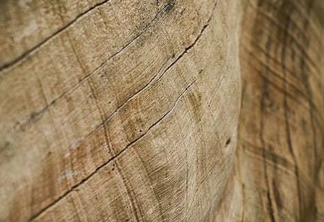 sem título, abstrato, Castanho, árvore, madeira, padronizar, textura, origens, velho, fundo, placas de fibra de madeira, ninguém, copie o espaço, parquete, horizontal, mesa, fotos detalhadas, macro, detalhe, pavimento, decoração, motivo, perspectiva, amarelo, mobília, natural, imagem colorida, lindo, padrão abstrato, fotografia, fechar-se, foco seletivo, As fotos, cor, madeira - material, texturizado, rude, quadro completo, dia, natureza, ao ar livre, close-up extremo, tronco de árvore, grão de madeira, 5K, CC0, domínio público, royalty free