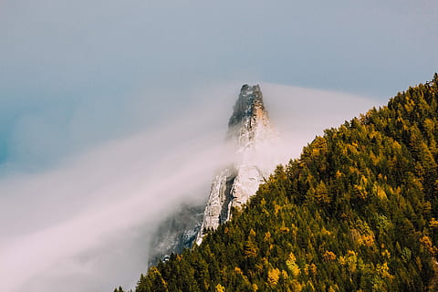 mountain cover fog, landscape photography, tall, green, leafed, trees, snow mountain, mountain, cloud, forest, tree, landscape, nature, sunrise, fog, wood, tress, hill, valley, beauty in nature, scenics - nature, plant, land, tranquil scene, sky, cloud - sky, tranquility, no people, day, non-urban scene, environment, rock, cold temperature, mountain range, outdoors, mountain peak, coniferous tree, pine tree, 5K, CC0, public domain, royalty free