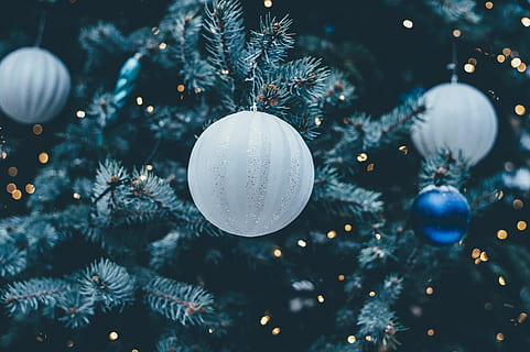 kerstballen, opgehangen, boom, bal, armband, vervagen, viering, Kerstmis, kerstboom, decoratie, vooravond, Spar, glinsteren, licht, vrolijk, Nieuwjaar, schijnend, sneeuw, sneeuwvlok, gebied, winter, vakantie, kerst decoratie, kerst versiering, evenement, detailopname, Vakantie evenement, verlicht, geen mensen, kerstlichten, opknoping, viering evenement, binnenshuis, 4K, CC0, publiek domein, royaltyvrij