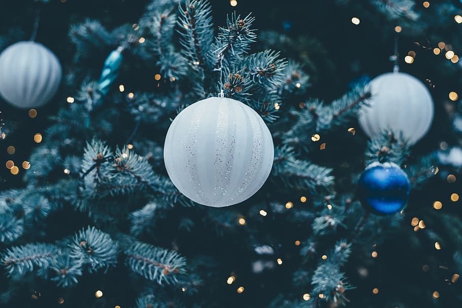baubles, hængt, træ, bold, armbånd, sløring, fest, jul, juletræ, dekoration, Eva, gran, skinne, lys, lystig, nyt år, skinner, sne, snefnug, sfære, vinter, ferie, juledekoration, jul ornament, begivenhed, tæt på, ferie - begivenhed, belyst, ingen mennesker, julelys, hængende, fest begivenhed, indendørs, 4K