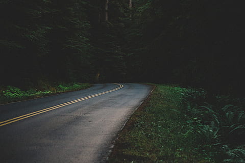 boş, beton, ağaçlar, otlar, siyah, yeşil, gündüz, Sarı, yol, orman, ağaç, çimen, karanlık, doğa, asfalt, taşımacılık, açık havada, peyzaj, seyahat, insansız, sokak, karayolu, kırsal manzara, ileriye giden yol, huzur, bitki, yön, sembol, yol işaretleme, işaret, doğada güzellik, arazi, büyüme, işaretleme, sakin sahne, boş yol, gün, azalan perspektif, ayırma çizgisi, uzun, 5K, CC0, kamu malı, telif ücretsiz