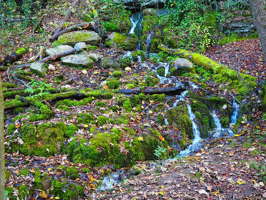 font, cascada, aigua, caiguda de mercaderies, kalktuffberg, toba, sinterkalkterrasse, a l'aire lliure, molsa, naturalesa, planta, cap gent, dia, creixement, bellesa a la natura, tranquil·litat, arbre, terra, rock, bosc, escenics - natura, escena tranquil·la, sòlid, color verd, rock - object, aigua que flueix, rierol: aigua que flueix, que flueix, 4K