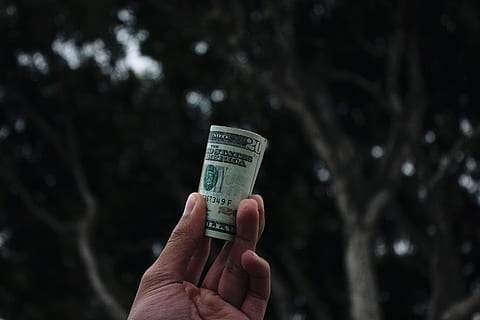fosc, arbre, mà, factura, diners, mà humana, part del cos humà, celebració, moneda, moneda de paper, Finances, una persona, riquesa, negocis, centrar-se en primer pla, persona irreconeixible, dit humà, dit, part del cos, primer pla, planta, adult, economia, 5K, CC0, domini públic, lliure de regalies