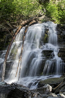 fotografia de timelapse de cachoeiras, cascata, fluxo, suave, agua, outono, Claro, branco, puro, bc, britânico, columbia, Canadá, caribu, pinho, passar, natureza, corrente, panorama, rio, viagem, verde, meio Ambiente, natural, cênico, exterior, Rocha, floresta, montanha, cenário, verão, fluindo, molhado, selvagem, parque, movimento, turismo, pedra, tropical, árvore, limpar \ limpo, Primavera, fresco, lago, folhagem, cor, exuberante, frescura, luz solar, leve, brilhante, Dom, sai, plantas, madeiras, filiais, estoque, ecológico, manhã, mistério, esplendor, mover, estilo de vida, desejo de viajar, refletir, tranquilo, ondulação, aventura, blog, degrau, nível, piscina, lagoa, angra, scenics, rock - objeto, ao ar livre, beleza na natureza, queda, água corrente, cor verde, floresta tropical, movimento borrado, Exposição longa, scenics - natureza, plantar, terra, ninguém, sólido, cena não urbana, poder na natureza, queda d'água, 4K, CC0, domínio público, royalty free