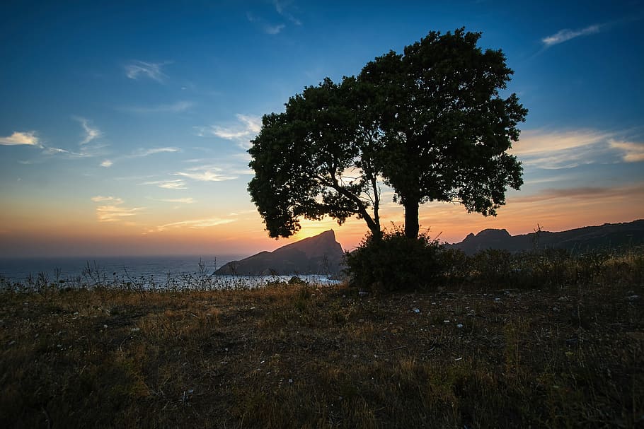 siluet fotoğraf, ağaç, sahil şeridi, yeşil, vücut, Su, plaj, alan, gün batımı, Portakal, mavi, bulutlar, gökyüzü, siluet, Kaya, corse, Korsika, peyzaj, doğa, bitki, manzaralar - doğa, doğada güzellik, huzur, arazi, sakin sahne, büyüme, bulut - gökyüzü, insansız, kentsel olmayan sahne, çimen, çevre, pastoral, açık havada, 2K