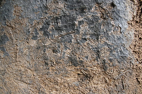 sena, tekstūra, ruda, mėlyna, šiaudų siena, purvo siena, labai senas, senas, sienos, grunge, paviršius, derliaus, dizainas, medžiaga, nuskendo, šiurkštus, tapyti, grungy, purvinas, amžiaus, senovės, kaimiškas, natūralus, fonas, pobūdį, modelį, tekstūruotas, santrauka, Iš arti, makro, visą kadrą, akmens medžiaga, nėra žmonių, dieną, lauke, iškastinis, kietas, išnyko, roko objektas, geologija, Rokas, sienų kūrimo funkcija, gyvūnas, medžio kamienas, 4K, CC0, Viešasis domenas, nemokamai