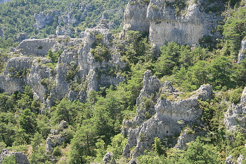 Formazioni rocciose, natura, divario, infinito, albero, pianta, crescita, bellezza nella natura, roccia, colore verde, roccia - oggetto, solido, la tranquillità, montagna, terra, nessuno, scena tranquilla, scenics - natura, giorno, formazione rocciosa, scena non urbana, all'aperto, scogliera, formazione, eroso, 4K, CC0, dominio pubblico, privo di copyright
