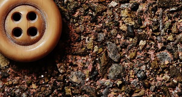 button, 4 holes, beige, close, color, no people, close-up, animal themes, animal, nature, tree trunk, invertebrate, brown, insect, tree, trunk, focus on foreground, animal wildlife, hole, plant, dirt, outdoors, textured, land, animals in the wild, poisonous, pollution, 2K, CC0, public domain, royalty free