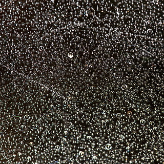 Netzwerk, Tau, Spinnennetz, Herbst, feucht, morgentau, Regentropfen, Tautropfen, schließen, Natur, Spinne, tropfen, Nebel, Makro, Perlen, Hintergründe, Vollbild, Wasser, fallen, keine Leute, nass, Nahansicht, Muster, Regen, Blase, texturiert, Bewegung, abstrakt, drinnen, Schönheit in der Natur, schwarzer Hintergrund, Reinheit, 2K, CC0, gemeinfrei, lizenzfrei