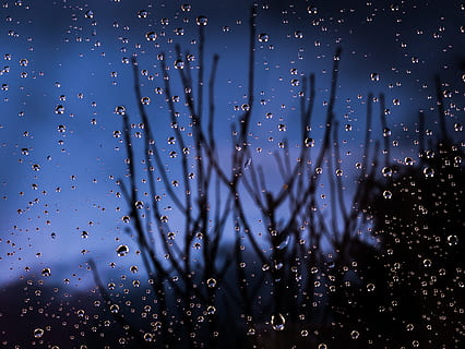 Makrofotografie, Wassertau, Blau, verwischen, Bläschen, klar, Nahansicht, Farben, Tröpfchen, Tropfen, Wassertropfen, Fokus, Glas, h2o, Flüssigkeit, Makro, Natur, Regen, Regentropfen, Silhouetten, Wasser, Wetter, nass, Fenster, fallen, keine Leute, Himmel, transparent, Glas - Material, Fokus auf den Vordergrund, Vollbild, Bewegung, draußen, Schönheit in der Natur, Hintergründe, Regenzeit, Reinheit, 4K, CC0, gemeinfrei, lizenzfrei