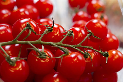 tomate cereja, tomates da uva, tomates, cozinha, cozinhando, vegetal, orgânico, Fazenda, vermelho, comida e bebida, Comida, Alimentação saudável, frescura, bem-estar, fechar-se, fruta, grande grupo de objetos, plantar, ninguém, foco seletivo, grupo de objetos, maduro, tomate, Pimenta, agricultura, natureza, abundância, 5K, CC0, domínio público, royalty free