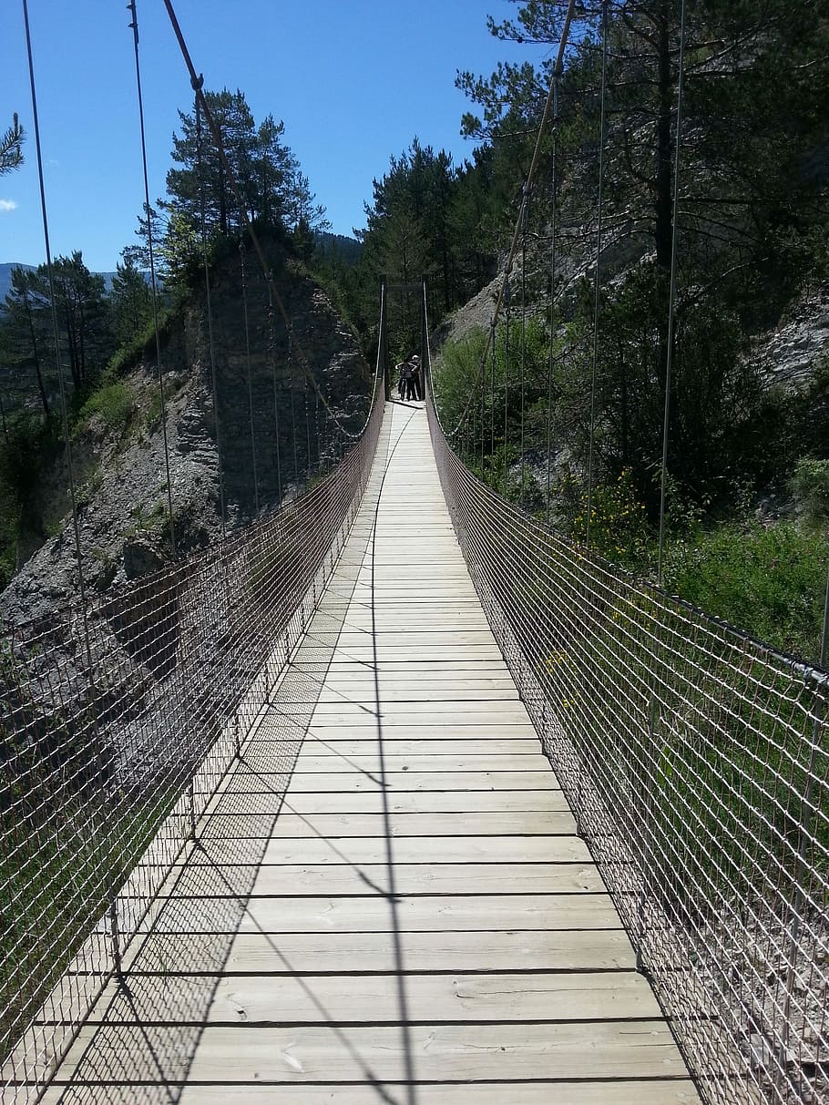 pod suspendat, cale, pod, copac, zi, în aer liber, nici o persoana, cer, podeț, direcţie, calea de urmat, plantă, conexiune, natură, diminuarea perspectivei, arhitectură, pod - om construit, construită, transport, teren, cer senin, cărare, lung, 2K