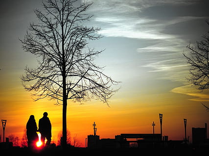 dawn, landscape, nature, sky, backlit, clouds, couple, dark, evening, outdoors, people, scenic, silhouette, sun, sunset, trees, orange color, two people, tree, beauty in nature, men, bare tree, real people, togetherness, women, cloud - sky, adult, couple - relationship, leisure activity, bonding, positive emotion, 5K, CC0, public domain, royalty free