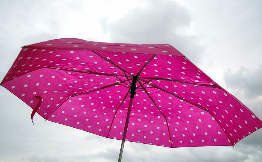 rosa, paraigua, pluja, hivern, núvols, miserable, feliç, joia, bassals, protecció, núvol - cel, cel, humit, seguretat, color rosa, naturalesa, tempesta, vermell, dia, a l'aire lliure, vista d’angle baix, núvol, sol objecte, para-sol, núvol de tempesta, refugi, gota de pluja, meteorologia, 1080P