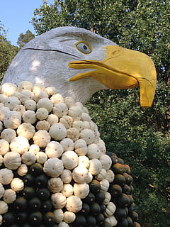 eagle, pumpkin, fall, bird, october, animal, animal themes, animal wildlife, day, one animal, animals in the wild, no people, nature, vertebrate, tree, plant, yellow, close-up, outdoors, representation, animal representation, beak, animal body part, food, animal head, 2K, CC0, public domain, royalty free
