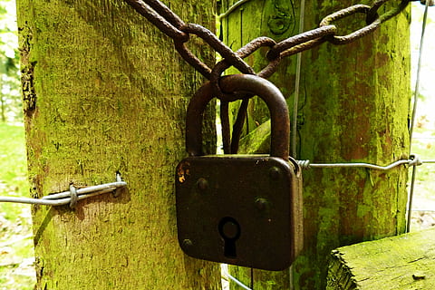 hrad, visací zámek, rezavý, nerez, starý, plot, pastvina, brána, visací zámky, hrady, vypnout, starší, u-lock, Zavřeno, bezpečnost, kov, ochrana, bezpečnostní, zámek, nikdo, detail, den, řetěz, závěsný, venku, západka, bariéra, hranice, vchod, Příroda, bezpečný, železo - kov, 4K, CC0, veřejná doména, bez autorských práv