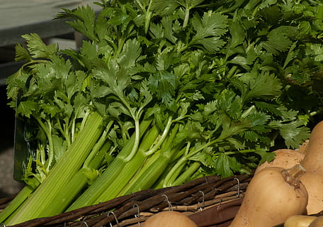 Bund Sellerie, Gemüse, Sellerie, Rüben, Grün, Essen und Trinken, grüne Farbe, keine Leute, Lebensmittel, gesundes Essen, Wachstum, Landwirtschaft, Natur, Tag, Frische, Pflanzenteil, Blatt, Wohlbefinden, Nahansicht, organisch, Rohkost, zu verkaufen, Pflanze, High Angle View, Markt, draußen, 2K, CC0, gemeinfrei, lizenzfrei
