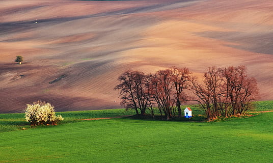 Field, Chapel, Spring, beauty in nature, nature, sunset, grass, tranquility, plant, tree, environment, land, green color, scenics - nature, landscape, sky, tranquil scene, cloud - sky, no people, rural scene, idyllic, autumn, non-urban scene, outdoors, 4K, CC0, public domain, royalty free