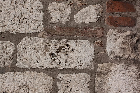 parete, calcare, mattone, difficile, biancastro, rosso, murato, fondo, sfondo, struttura costruita, caratteristica della parete, architettura, esterno dell'edificio, nessuno, giorno, vecchio, storia, muro di mattoni, il passato, animale, all'aperto, strutturato, intemperie, temi animali, danneggiato, avvicinamento, solido, muro di pietra, calcestruzzo, 4K, CC0, dominio pubblico, privo di copyright
