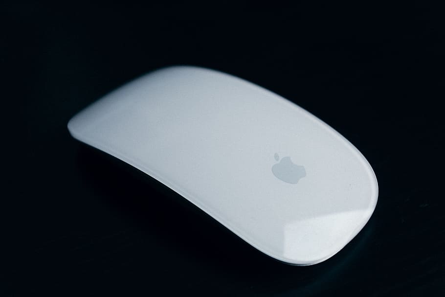 topo di mele, oggetti, tecnologia, singolo oggetto, bianca, computer, colore nero, mouse del computer, nessuno, isolato, avvicinamento, ricerca, sfondo nero, scienza, laboratorio, girato in studio, in casa, Colore bianco, ritagliare, assistenza sanitaria e medicina, forma, copia spazio, forma geometrica, natura morta, vista dall'alto, gemma preziosa, cerchio, design, 4K
