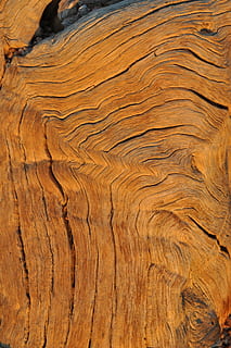 fusta, gra, estructura, patró, escorça, anells anuals, vell, fons, gra de fusta, textura, marró, marc complet, material de fusta, cap gent, patró natural, naturalesa, fusta nuada, arbre, sòls, primer pla, aspre, tauler, ratlles, resum, a l'aire lliure, pi, efecte texturat, nivell superficial, fusta de pi, 4K, CC0, domini públic, lliure de regalies