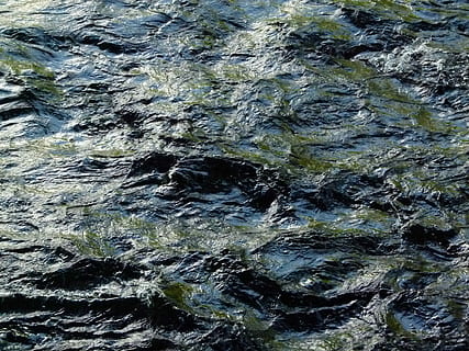 agua, corriente, movimiento, fluir, mojado, naturaleza, natural, fluido, ola, onda, fotograma completo, roca - objeto, texturizado, nadie, gris, antecedentes, sólido, rock, día, formacion de roca, belleza en la naturaleza, al aire libre, modelo, áspero, frente al mar, de cerca, vista de alto ángulo, agua que fluye, poder en la naturaleza, erosionado, 4K, CC0, dominio público, libre de derechos