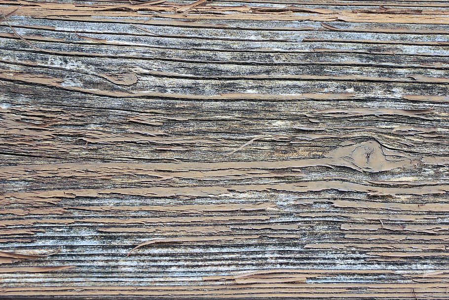 foto, marró, gris, fusta, superfície, pissarra, textura, estructura, fons, patró, resistent, vell, antiguitat, fusta vella, trencat, pintura antiga, pintura, meteorització, marc complet, material de fusta, cap gent, paper, primer pla, gra de fusta, arquitectura, tauler, aspre, a l'aire lliure, finances i indústria de les empreses, espatllat, 4K