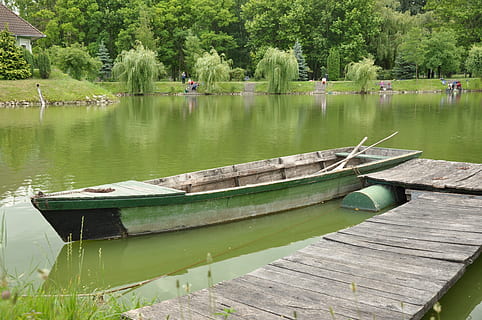 ežeras, valtis, prieplauka, sklypas, vasara, vanduo, augalų, medis, atspindys, pobūdį, dieną, žalia spalva, ramybė, laivas, mediena - medžiaga, grožis gamtoje, transportavimas, transporto būdas, ramioje scenoje, vaizdai - gamta, nėra žmonių, lauke, 4K, CC0, Viešasis domenas, nemokamai