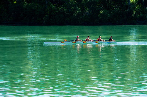 vesla, loď, řeka, voda, rhone, zelená, Francie, beaucaire, nábřeží, volnočasové aktivity, odraz, skutečných lidí, plavecký bazén, námořní plavidlo, skupina lidí, sport, přeprava, Příroda, muži, jednotnost, týmová práce, spolupráce, lidé, den, způsob dopravy, rostlina, jezero, životního stylu, veslování, venku, loďka, 4K, CC0, veřejná doména, bez autorských práv