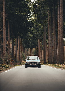 modrý, auto, les, střední, silnice, během dne, bmw, strom, řídit, řízení, bimmer, výlet, klasické auto, vinobraní, temný, cestovat, prozkoumat, borovice, dřevo, přeprava, způsob dopravy, rostlina, motorové vozidlo, pozemního vozidla, směr, cesta vpřed, kufr, den, Příroda, kmen stromu, nikdo, ulice, růst, město, venku, perspektiva, treelined, 5K, CC0, veřejná doména, bez autorských práv