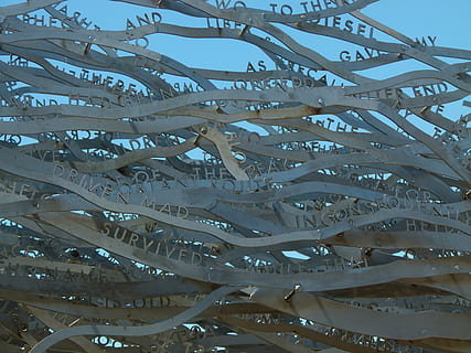 Kunst, Welle, Design, Swing, Skulptur, Metall, Kunstobjekt, Objekt, Natur, keine Leute, Tag, Hintergründe, Vollbild, Wachstum, Wasser, Muster, Fülle, draußen, Tier, große gruppe von gegenständen, Fisch, Sonnenlicht, Wirbeltier, Pflanze, Gruppe von Tieren, Himmel, Blau, 4K, CC0, gemeinfrei, lizenzfrei