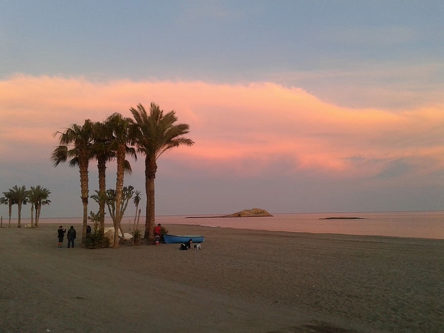 carboneras, almeria, พระอาทิตย์ตกชายหาด, Carboneras, Almeria, พระอาทิตย์ตกดิน, ชายหาด, แสงไฟ, เมฆ, ดาลูเซีย, หางจระเข้, ทะเลเมดิเตอร์เรเนียน, ต้นปาล์ม, ธรรมชาติ, ต้นไม้, scenics, ความงามในธรรมชาติ, ท้องฟ้า, สภาพภูมิอากาศแบบร้อนชื้น, ทะเล, น้ำ, ที่ดิน, ปลูก, Scenics - ธรรมชาติ, เมฆ - ท้องฟ้า, ขอบฟ้า, ฉากที่เงียบสงบ, ความเงียบสงบ, ทราย, ขอบฟ้าเหนือน้ำ, ไม่มีคน, กลางแจ้ง, ต้นมะพร้าว, 2K