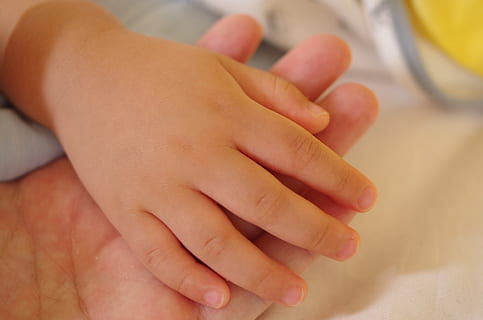 Erziehung, Hand, Liebe, Kinder, menschliches Körperteil, menschliche Hand, drinnen, Nahansicht, jung, Baby, Erwachsene, Kindheit, Körperteil, Kind, Fokus auf den Vordergrund, Finger, halten, Nachwuchs, menschlicher Finger, Familie mit einem Kind, Pflege, Sohn, 4K, CC0, gemeinfrei, lizenzfrei