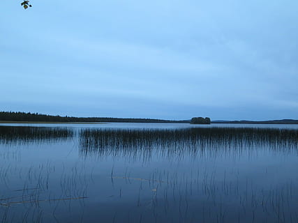 pobūdį, ežeras, nendrės, tylus, mėlyna, Suomija, atspindys, ramybė, ramioje scenoje, vanduo, grožis gamtoje, vaizdai - gamta, dangus, nėra žmonių, augalų, ne miesto scenoje, medis, dieną, idiliškas, krantinė, debesis - dangus, lauke, kraštovaizdį, 4K, CC0, Viešasis domenas, nemokamai
