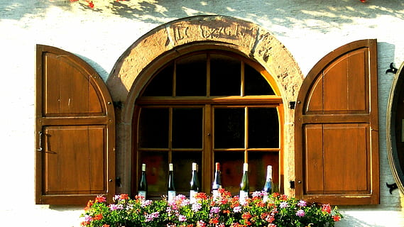 alsazia, vino, vino, bottiglie, persiane, Alsazia, vino, bottiglie, finestra, arco, Entrata, porta, fiore, facciata, culture, architettura, struttura costruita, esterno dell'edificio, costruzione, pianta, pianta fiorita, giorno, nessuno, natura, legno - materiale, Casa, chiuso, all'aperto, quartiere residenziale, pianta in vaso, vaso di fiori, ornato, 1080P, CC0, dominio pubblico, privo di copyright