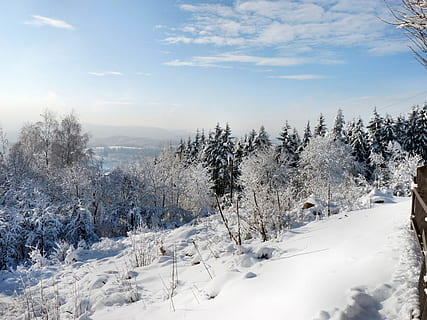 winter, landschap, winters, winterdroom, sneeuw, koude temperatuur, boom, fabriek, scenics - natuur, schoonheid in de natuur, rustige scène, natuur, land-, kalmte, wolk - lucht, hemel, geen mensen, niet-stedelijke scène, dag, aan het bedekken, milieu, witte kleur, buitenshuis, met sneeuw bedekte berg, naaldboom, 720P, CC0, publiek domein, royaltyvrij